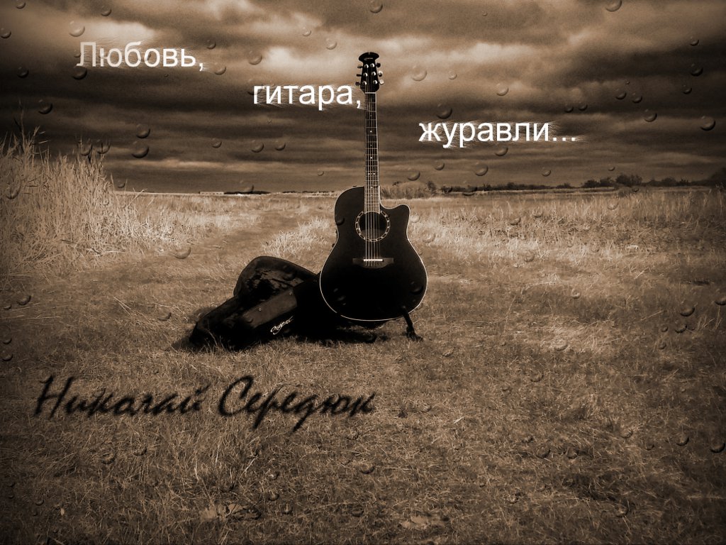 lyubov gitara zhuravli